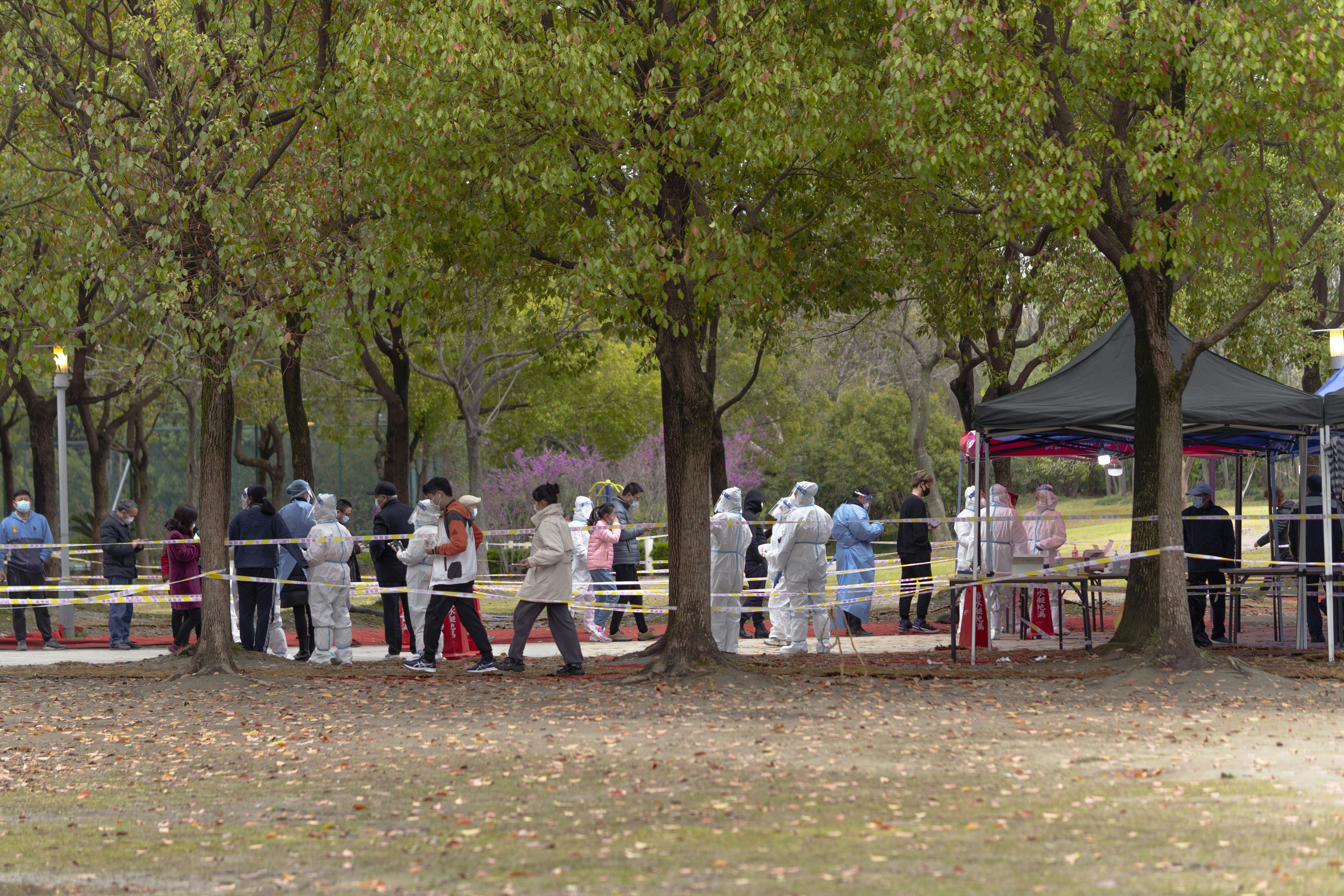 a group of people standing next to each other in a park