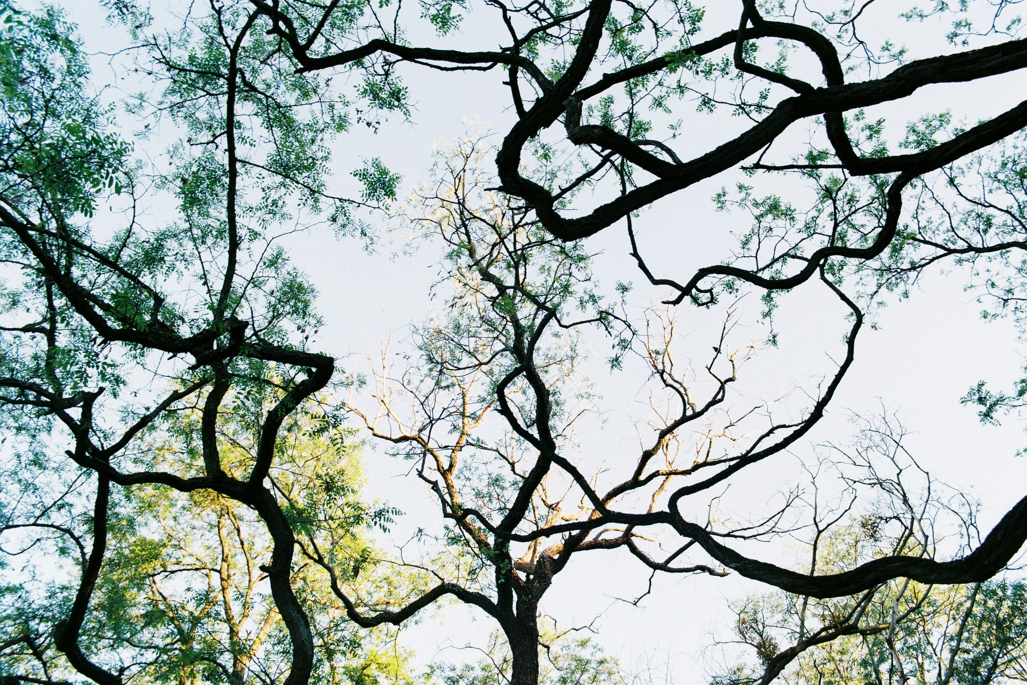 Photo by ana_semenko