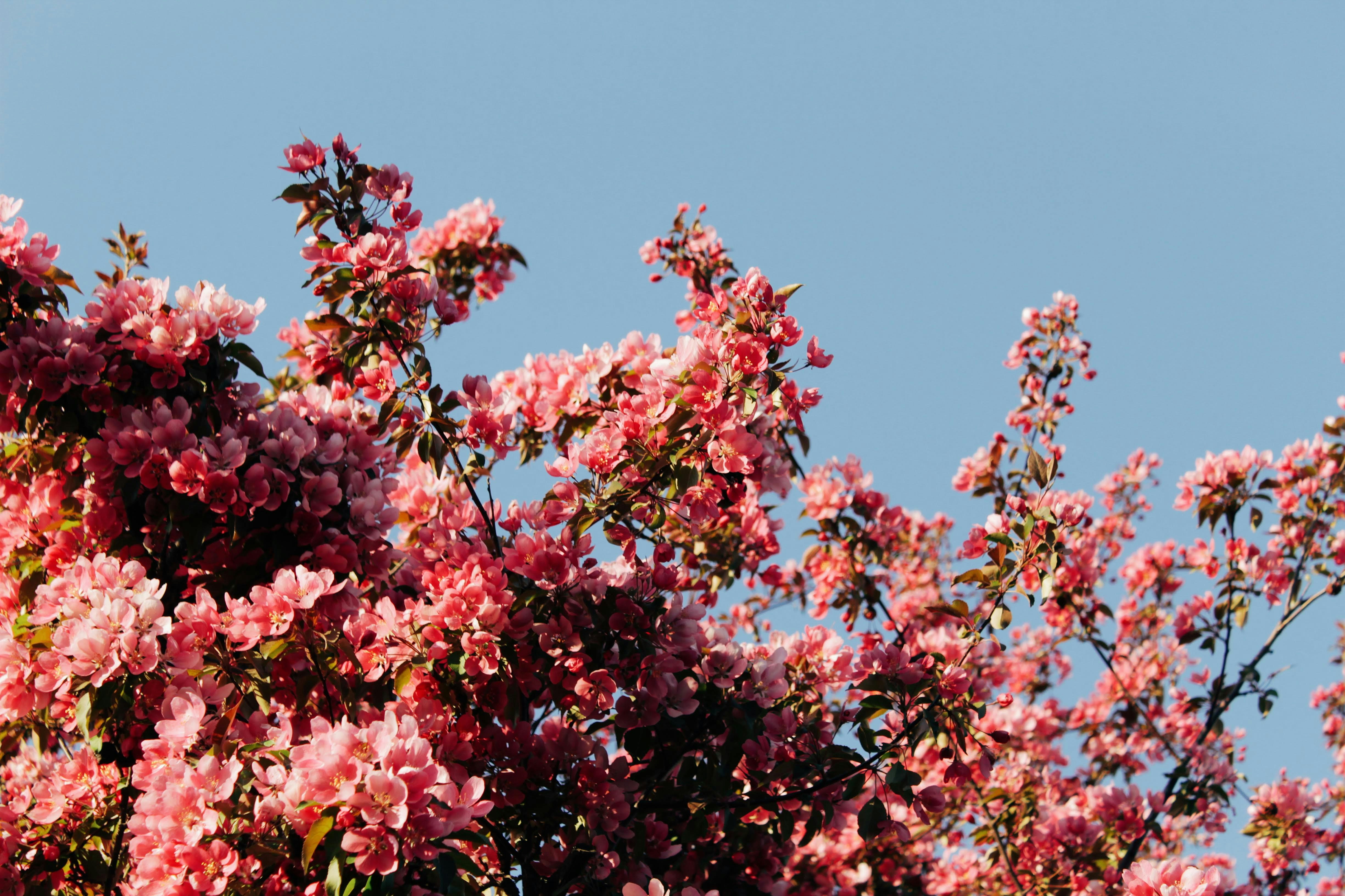 Photo by katherinestpierre