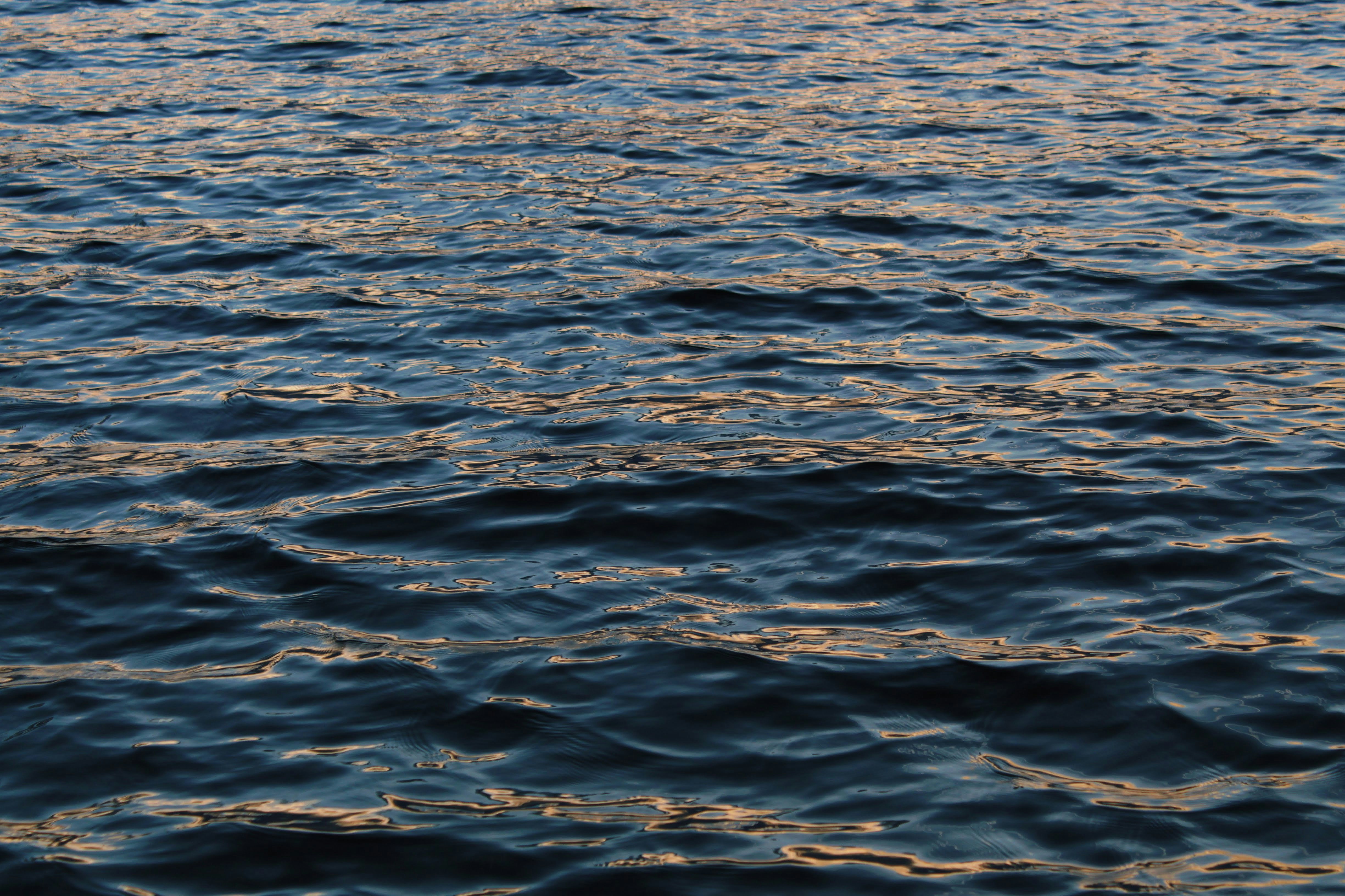 Photo by katherinestpierre