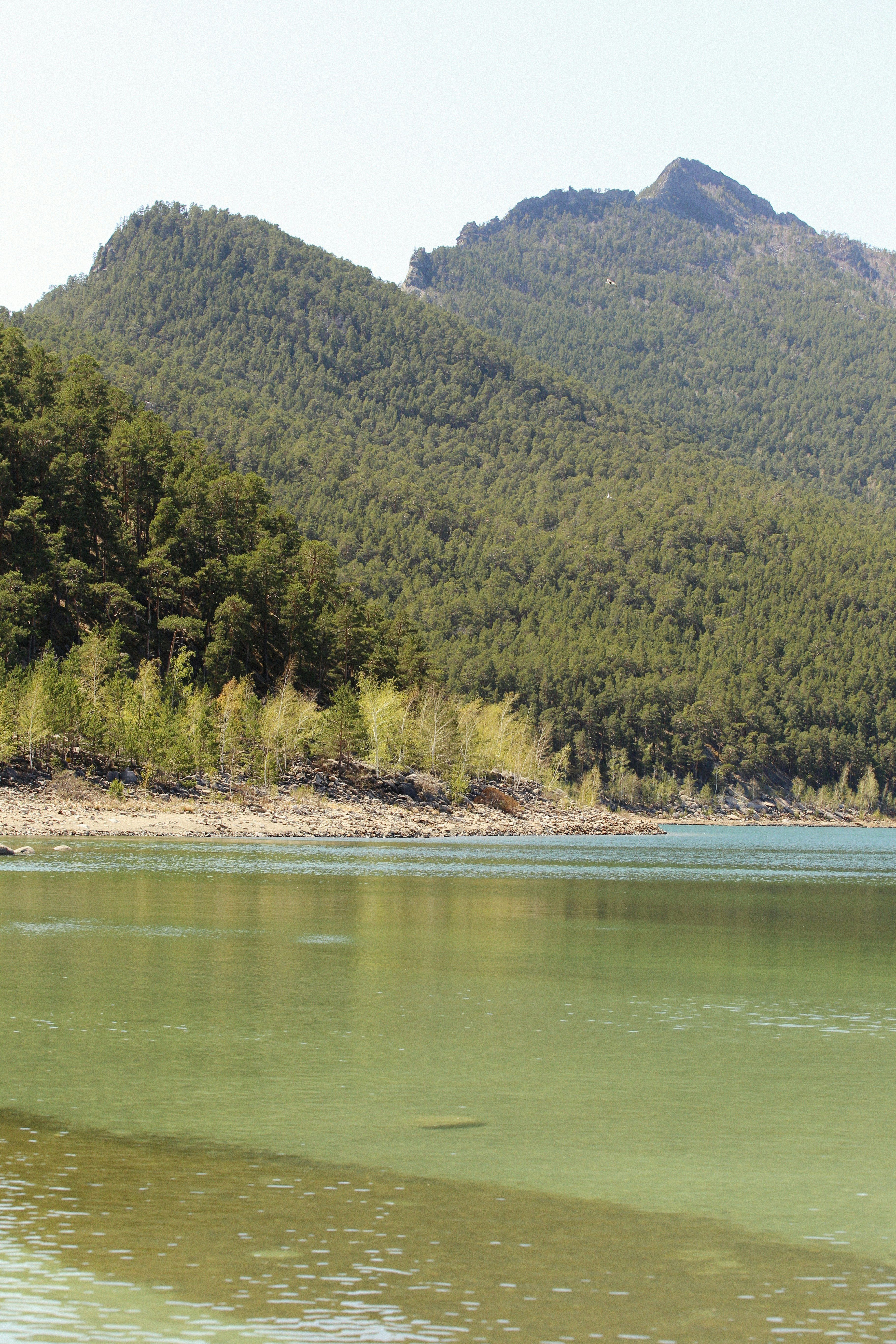 Photo by alexeydemidov