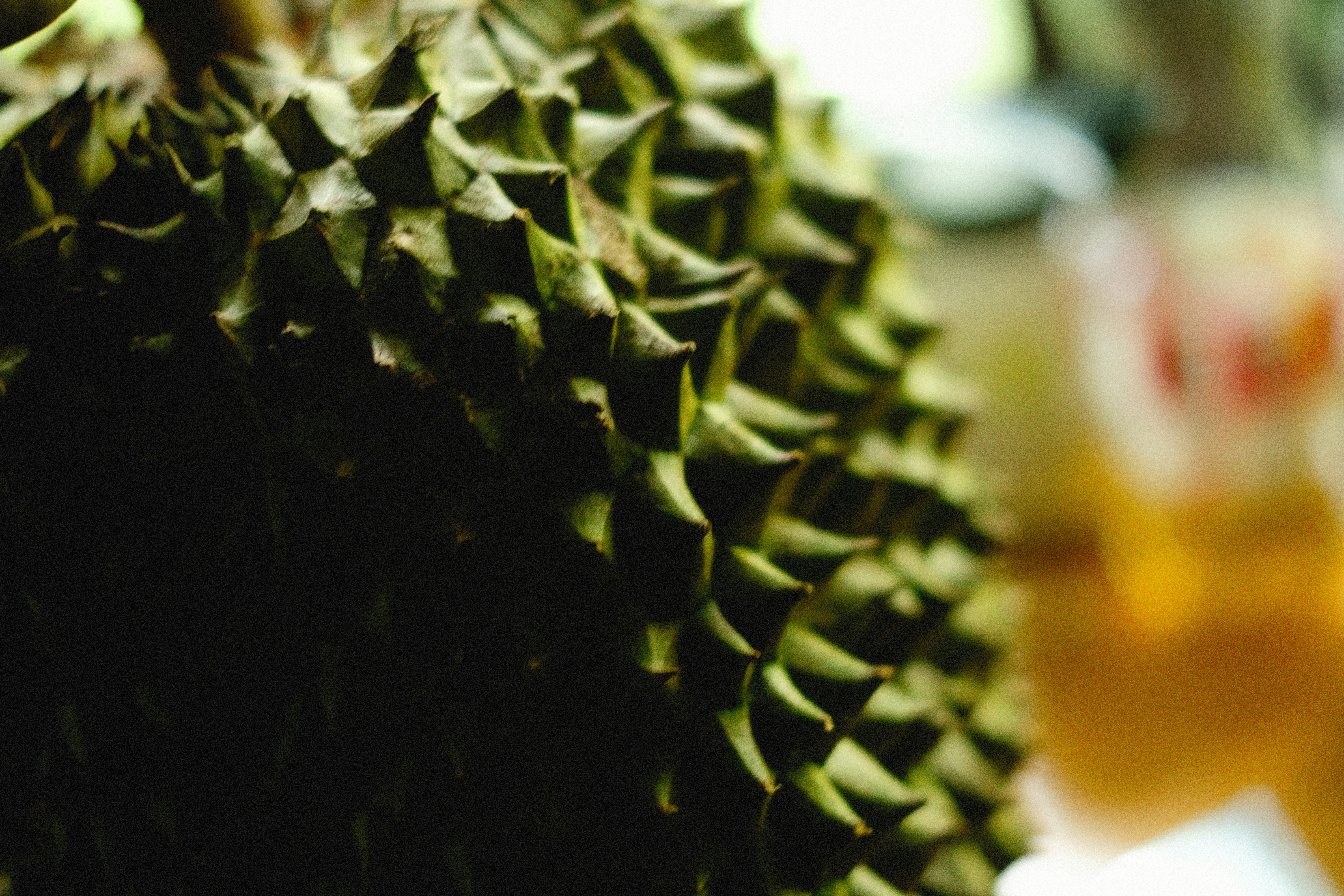 Photo by alexeydemidov