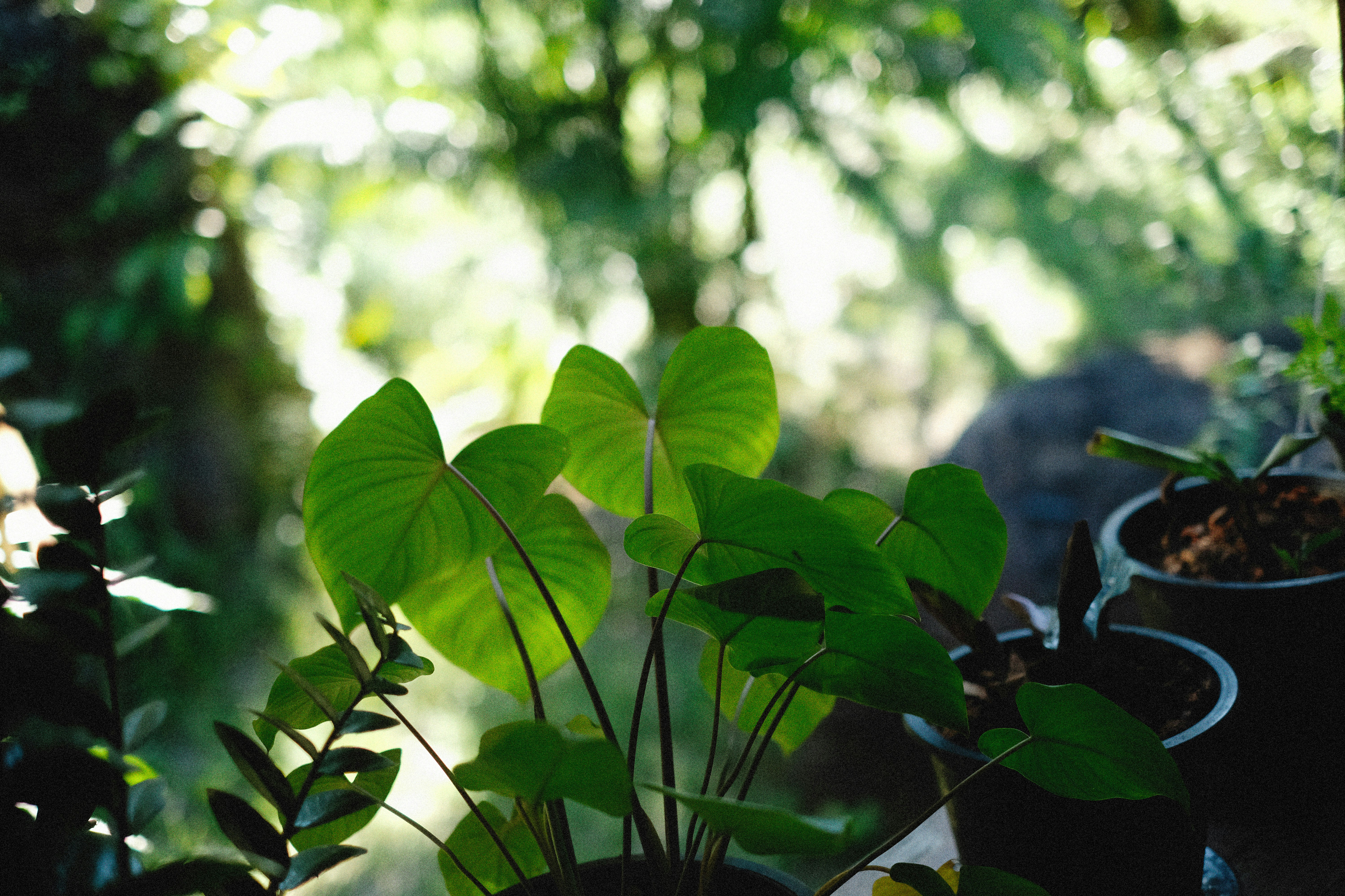 Photo by alexeydemidov