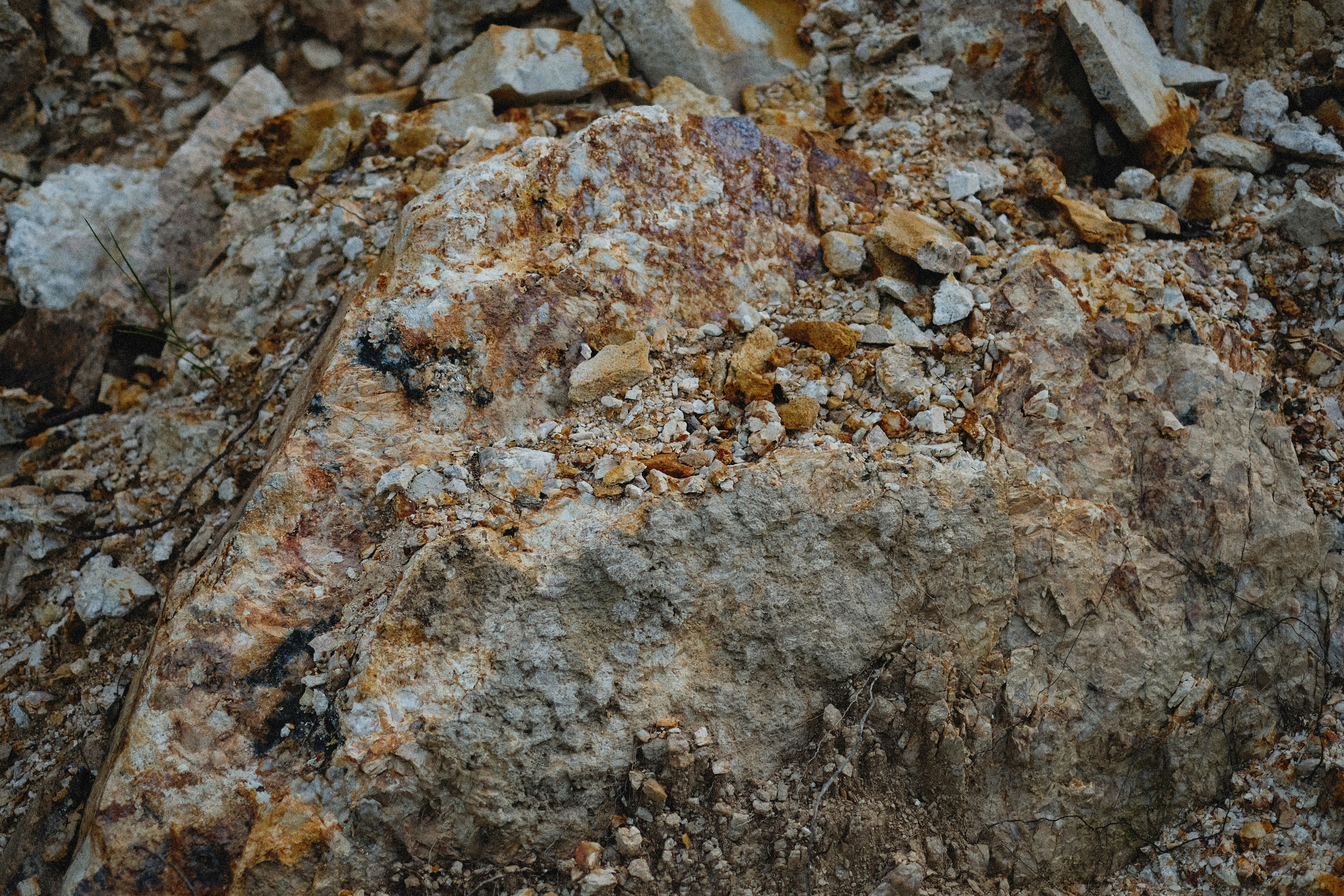 Photo by alexeydemidov