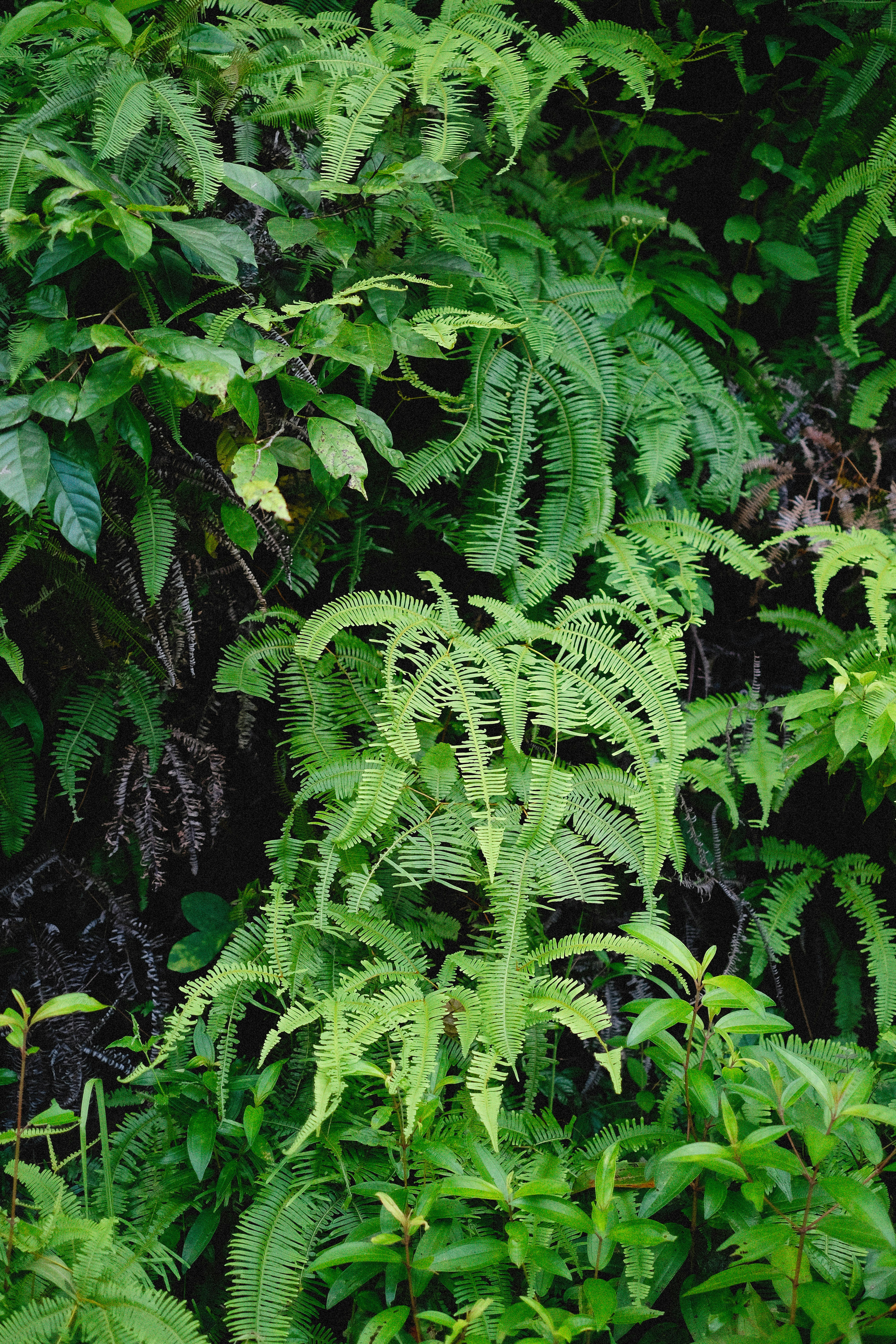 Photo by alexeydemidov