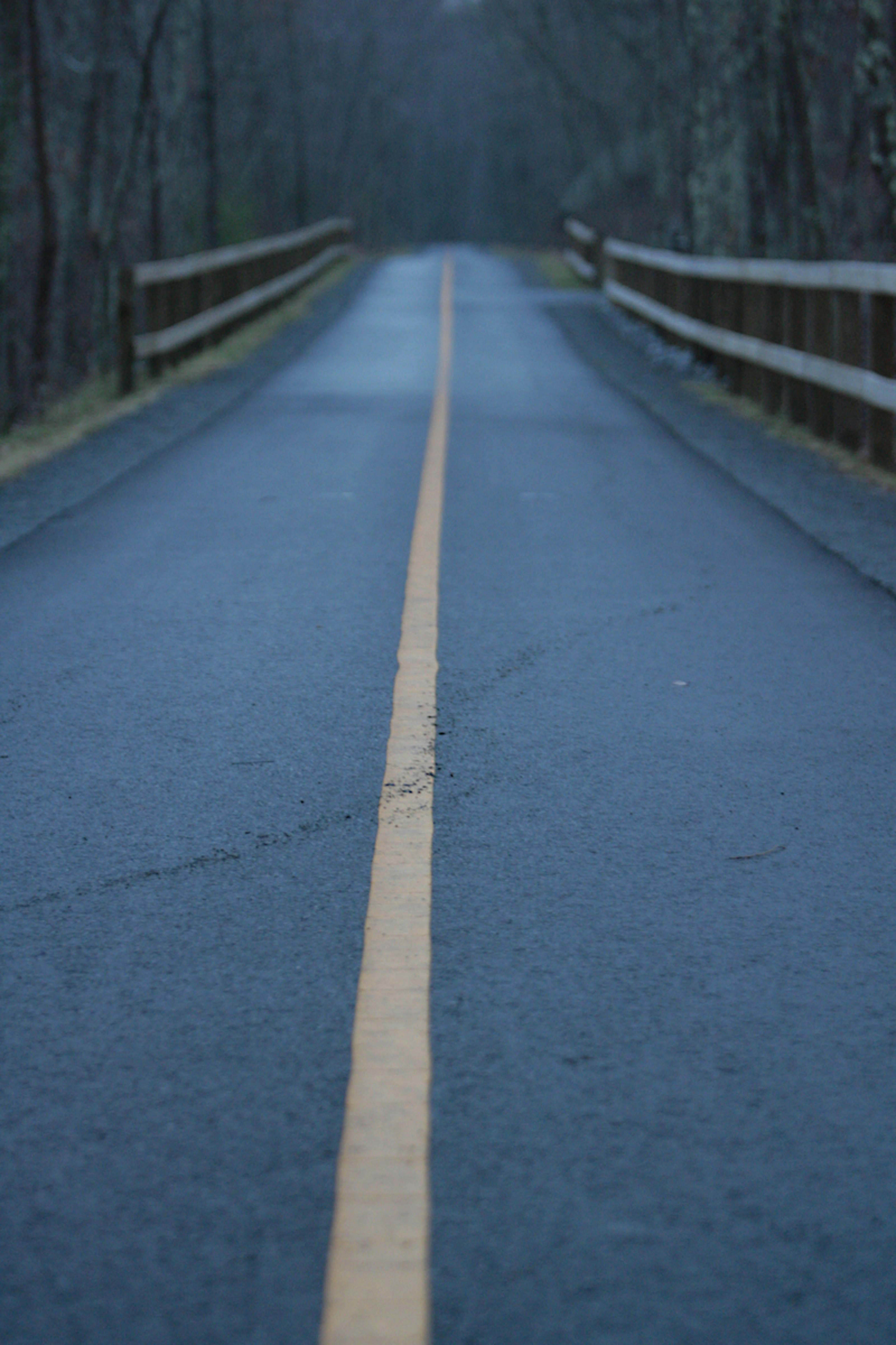 Photo by dtrinksrph