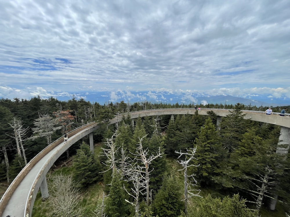 a curved road surrounded by trees under a cloudy sky