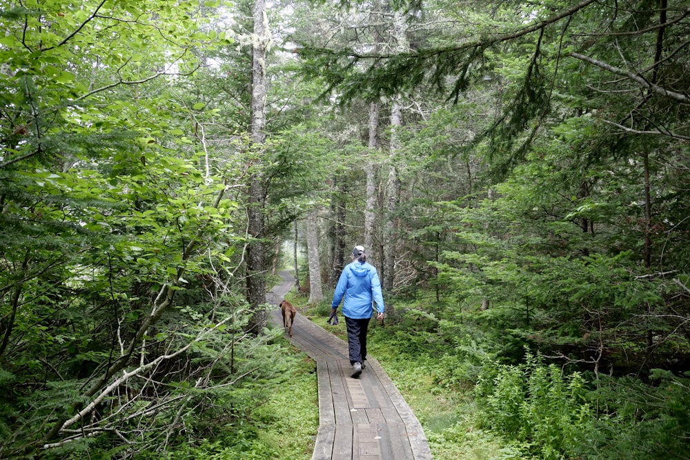 a person walking down a path in the woods