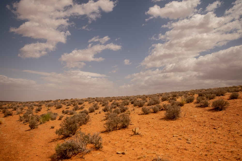 a desert landscape with sparse bushes and clouds in the sky