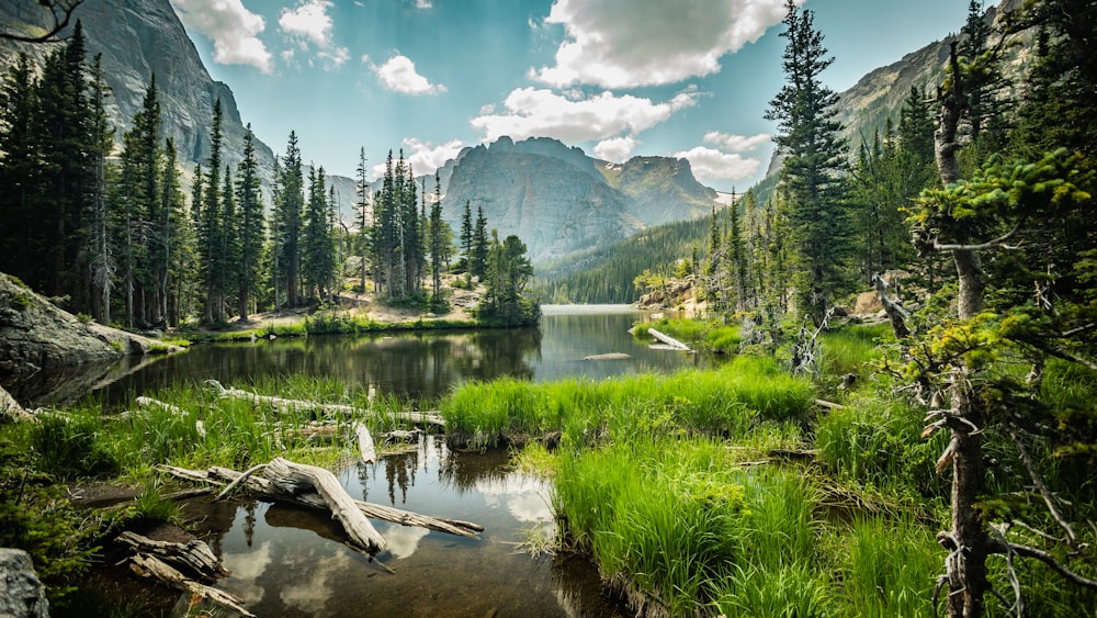 a lake surrounded by trees and mountains under a cloudy sky