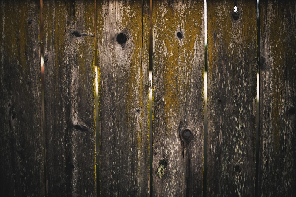 a close up of a wooden fence with nails on it