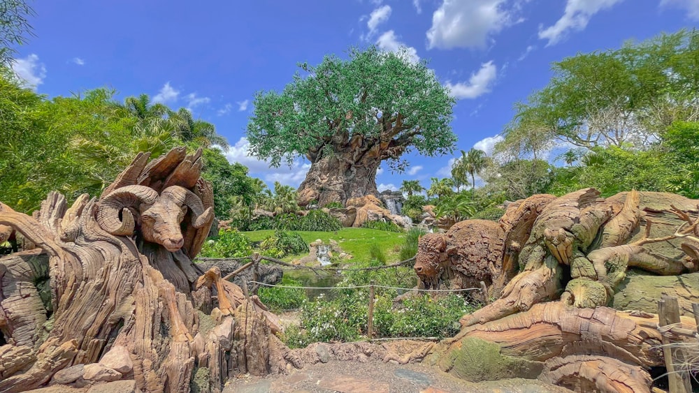 Un grande albero nel mezzo di un parco