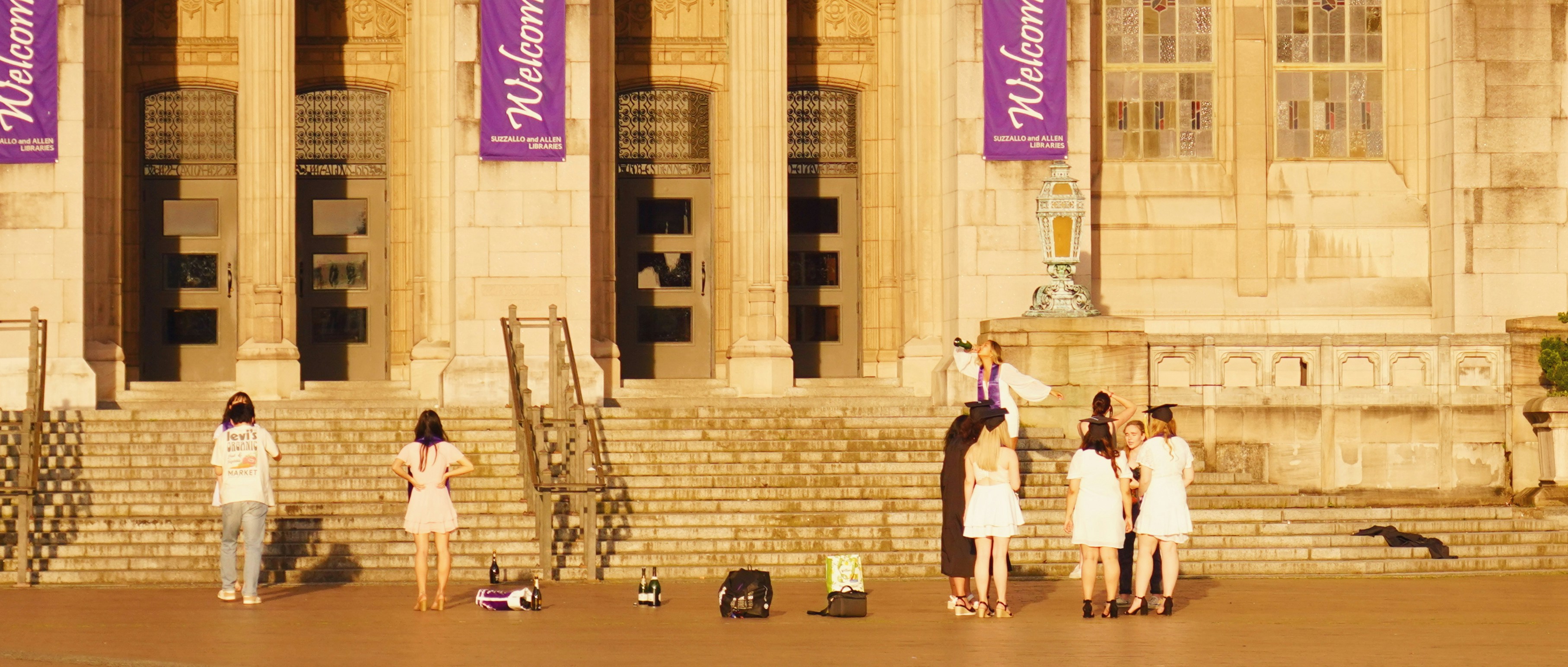 A majestic royal court scene with purple banners and clothing