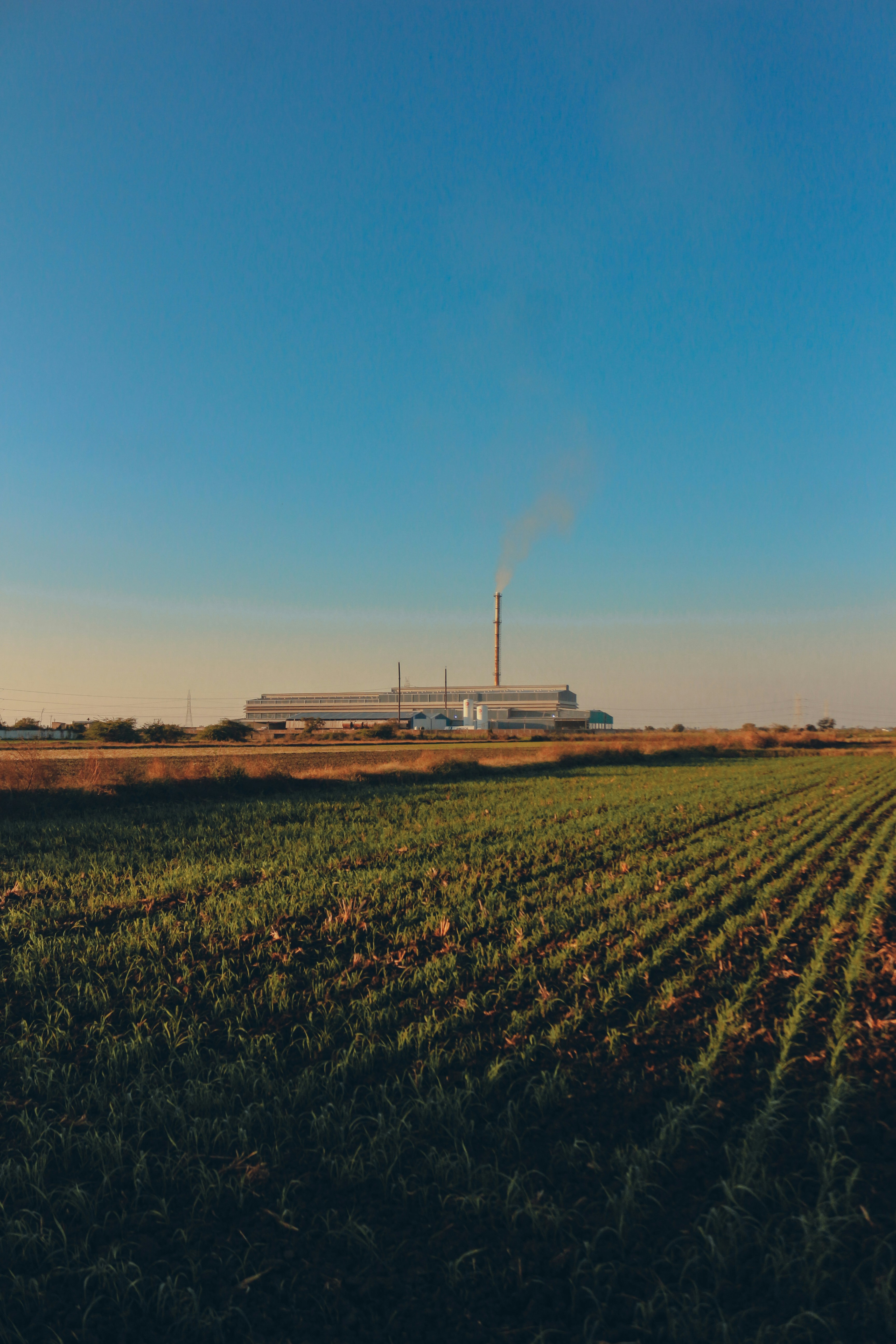 Photo by anjan_rajaini