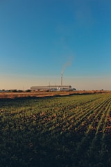 a field of crops with a factory in the background