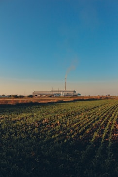 a field of crops with a factory in the background