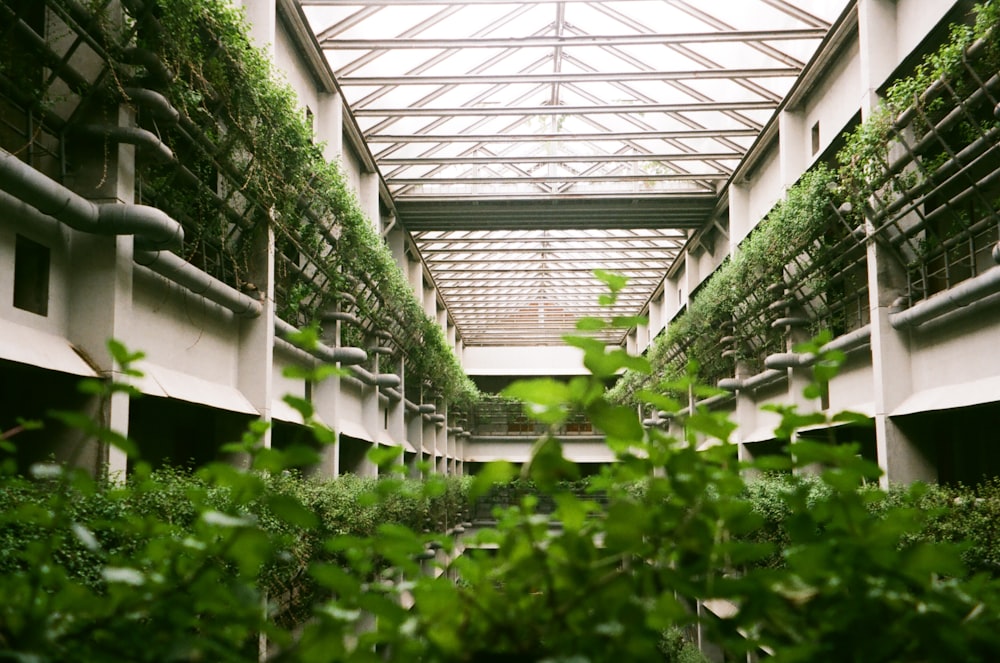 a building with lots of plants growing inside of it