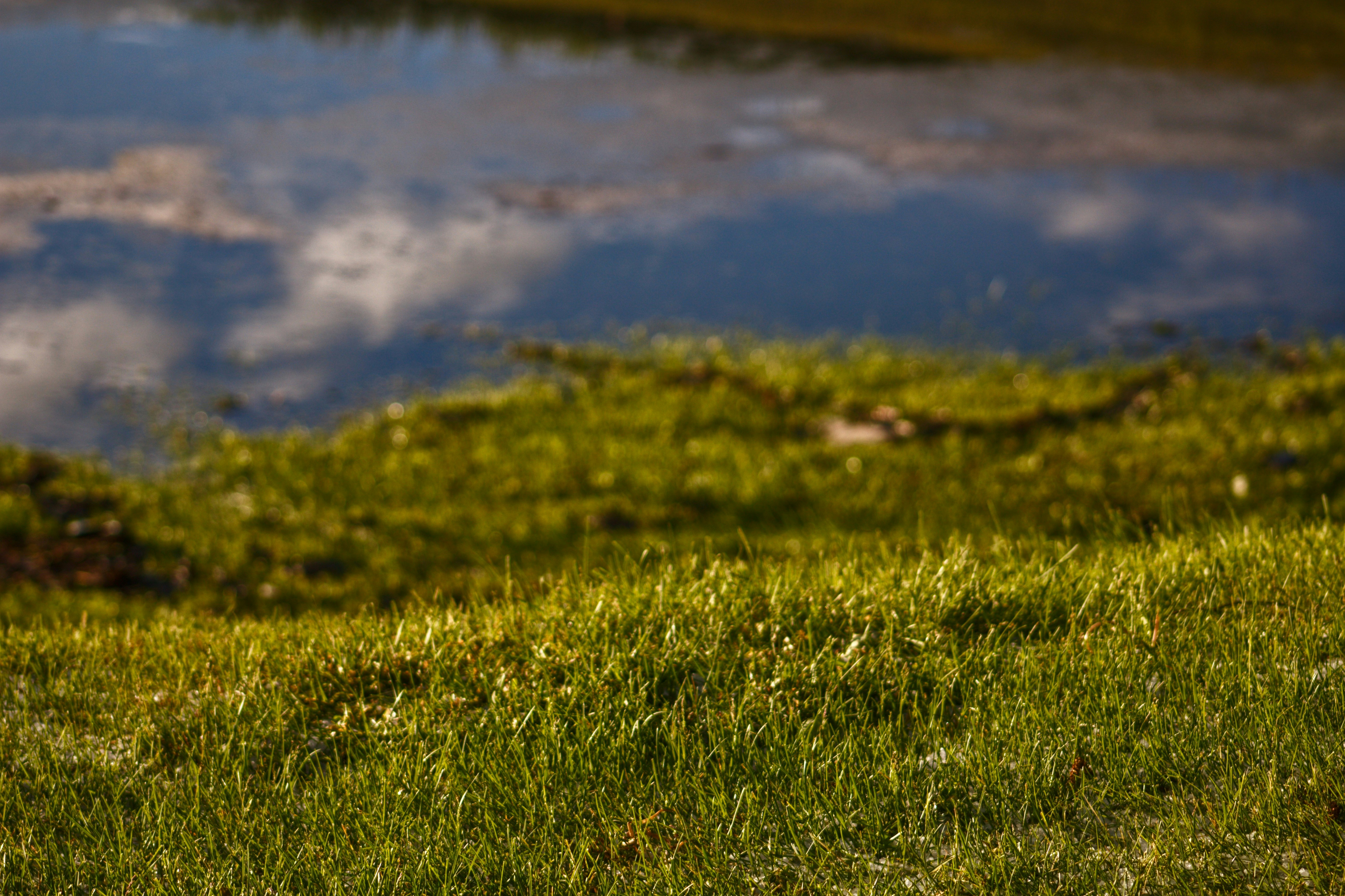 Photo by joshua_hoehne