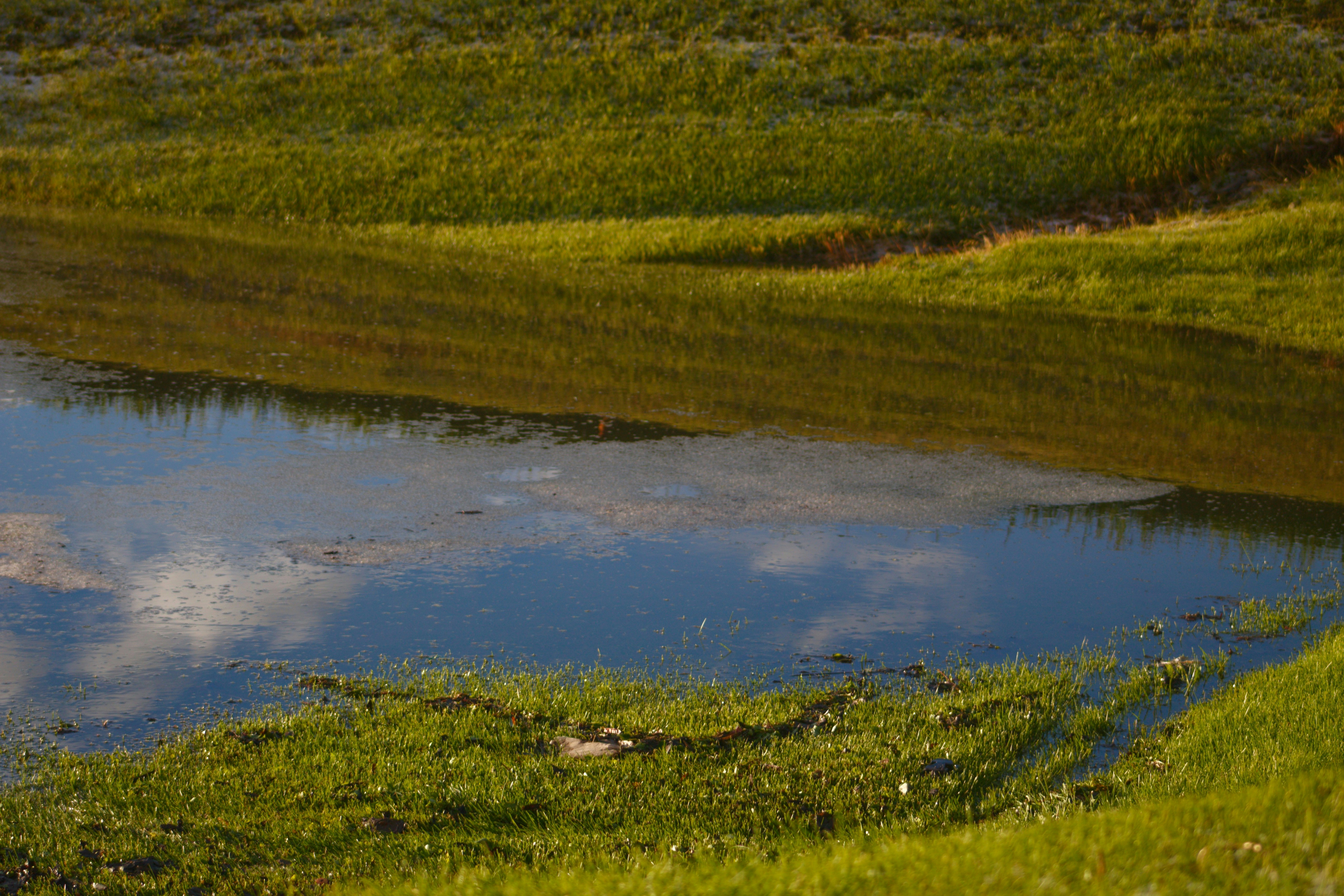 Photo by joshua_hoehne