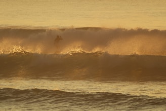 An experienced surfer riding a wave during sunset.