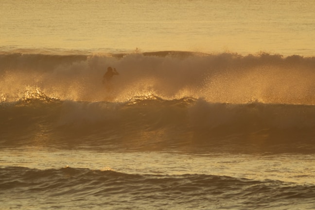 A surfer catching a wave during sunset.