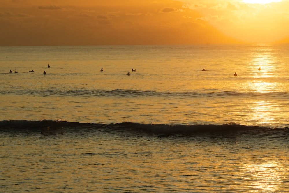 a group of people riding surfboards on top of a wave