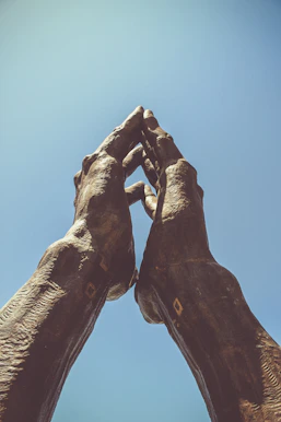 Hands joined in prayer over a navy blue and gold cloth symbolizing unity and faith.