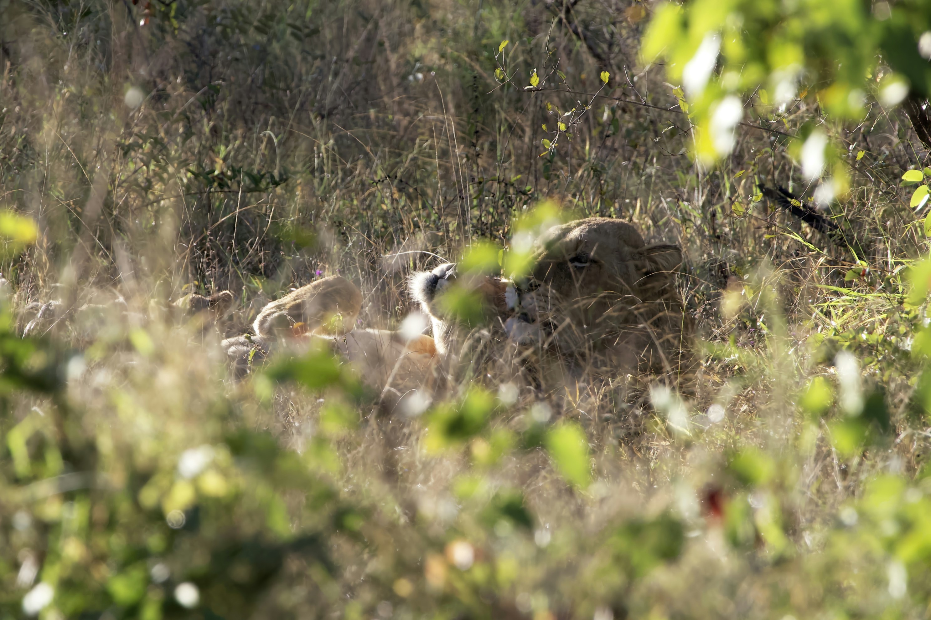 Photo by miguelalcantara