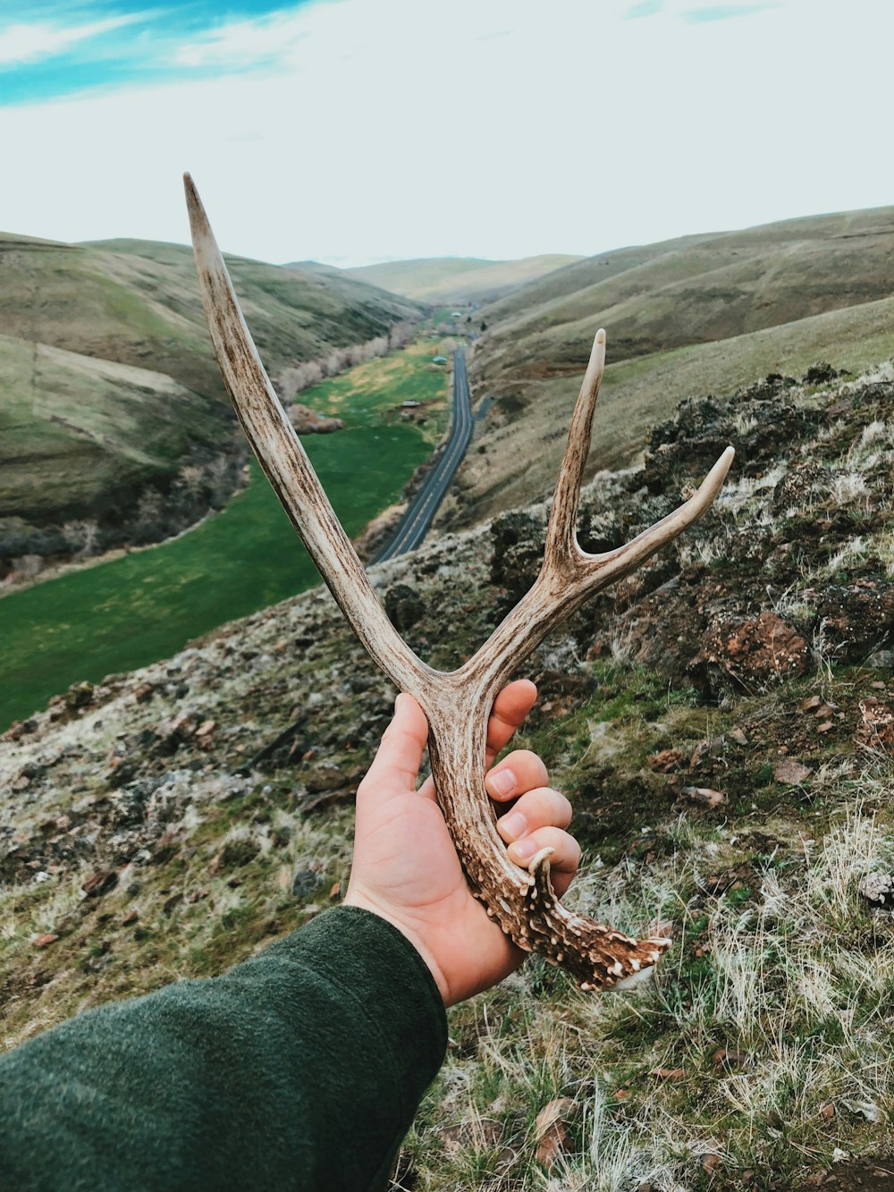 a person holding a deer antler in their hand