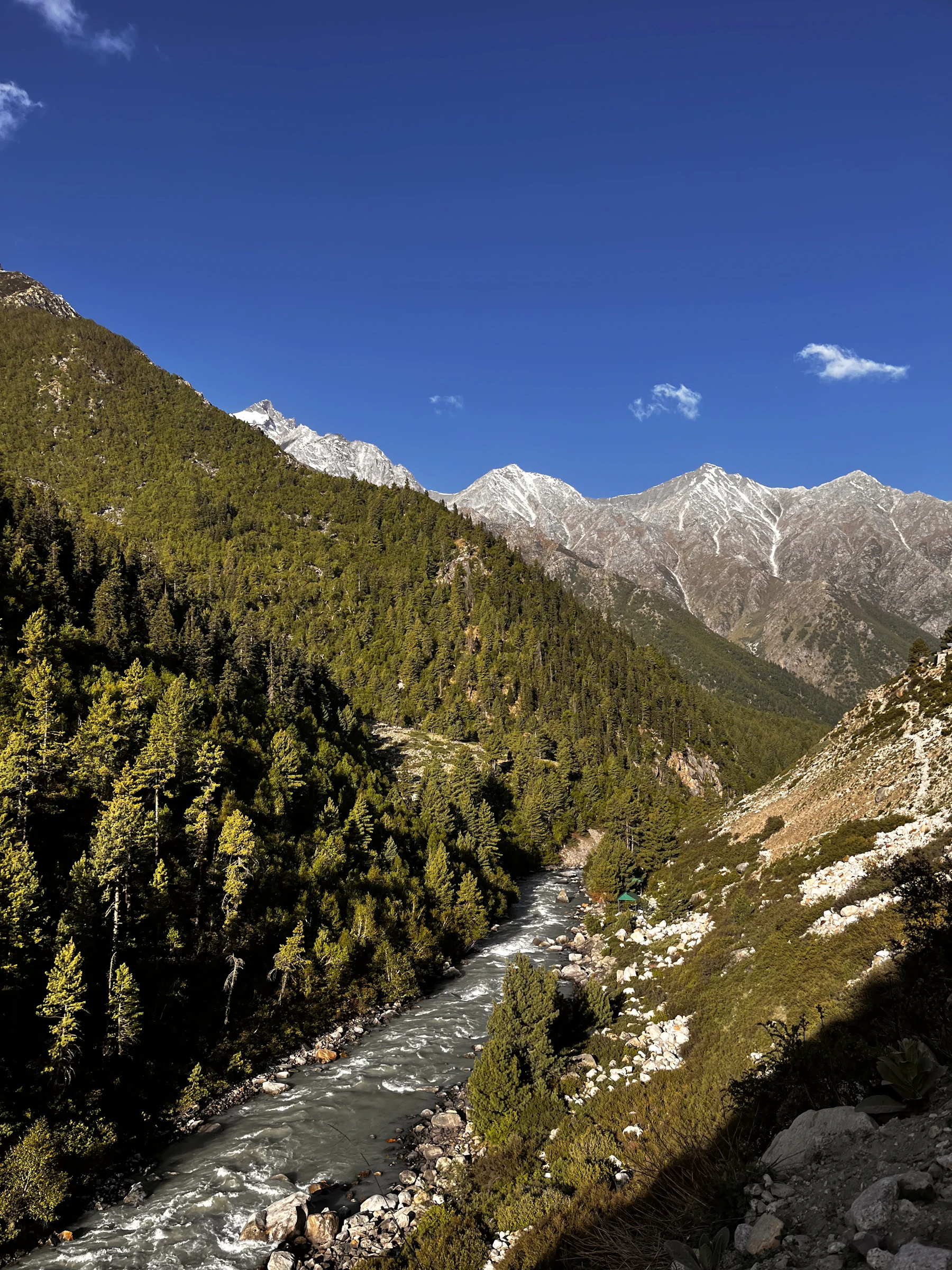 Rishikesh