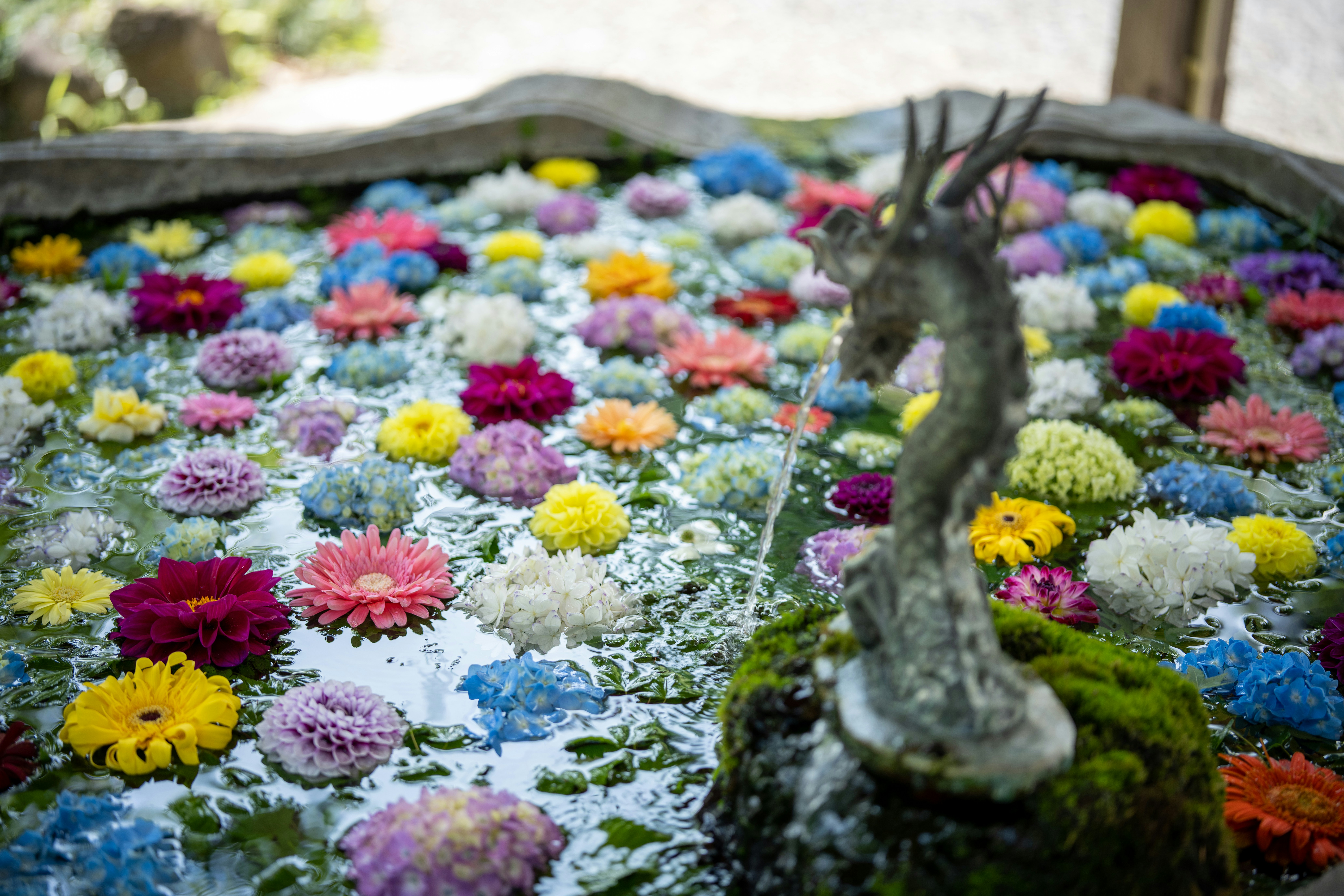 Flower Garden