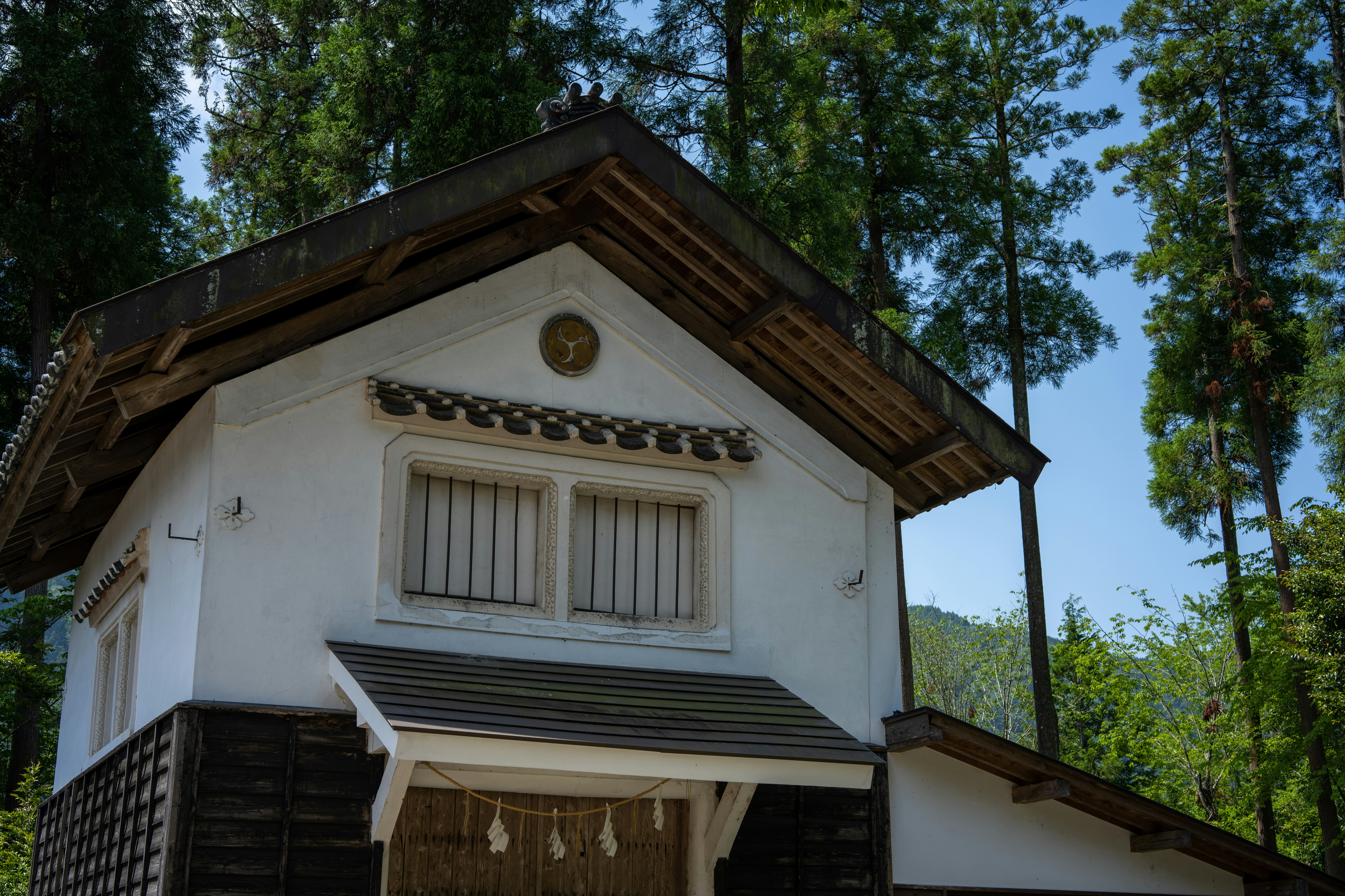 Photo by pafuxu