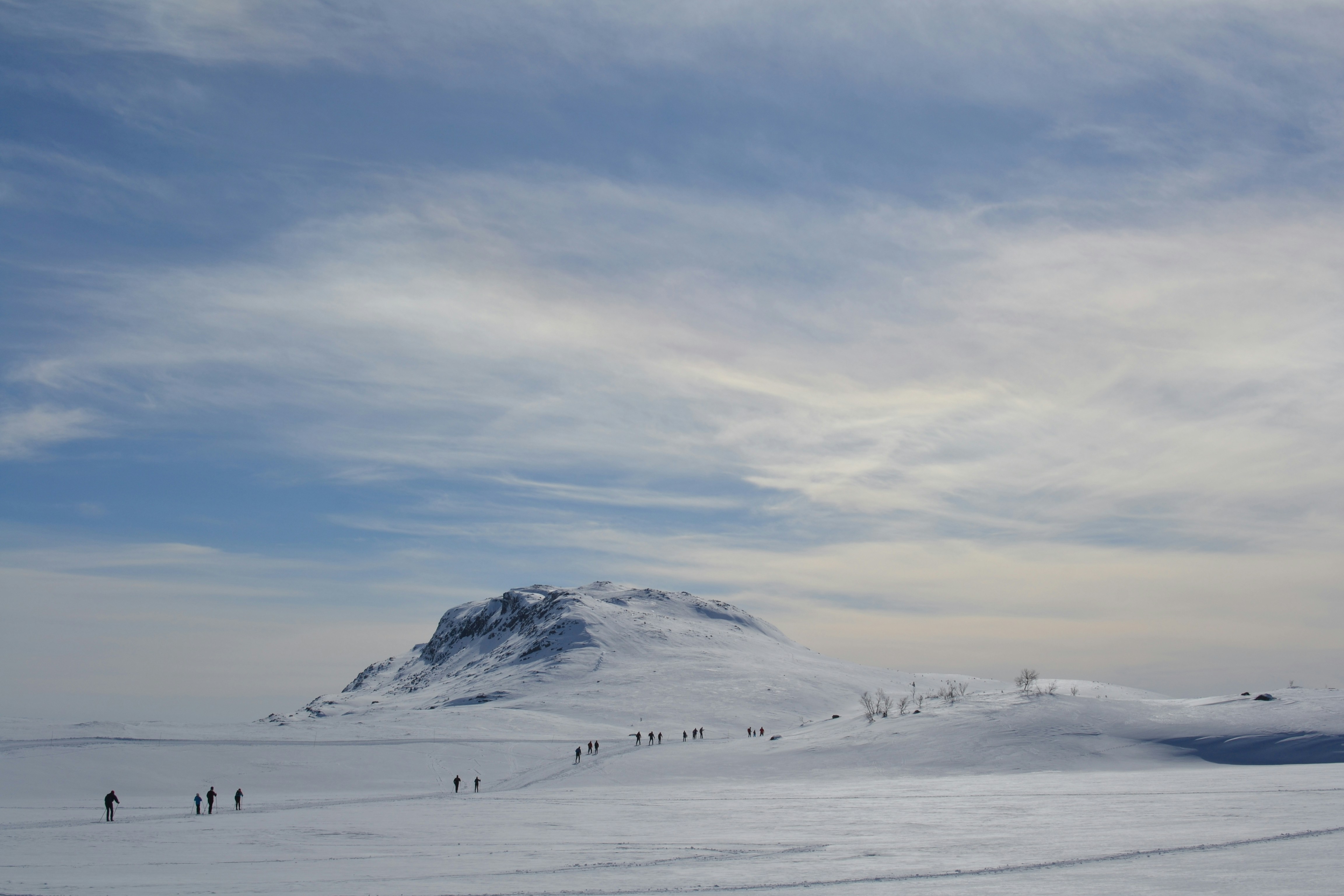 Photo by ingeborgkorme