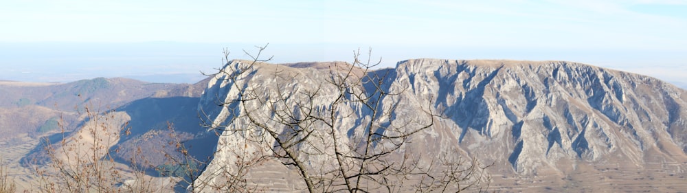 una vista di una montagna con un albero in primo piano