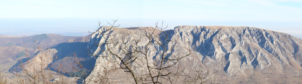 a view of a mountain with a tree in the foreground