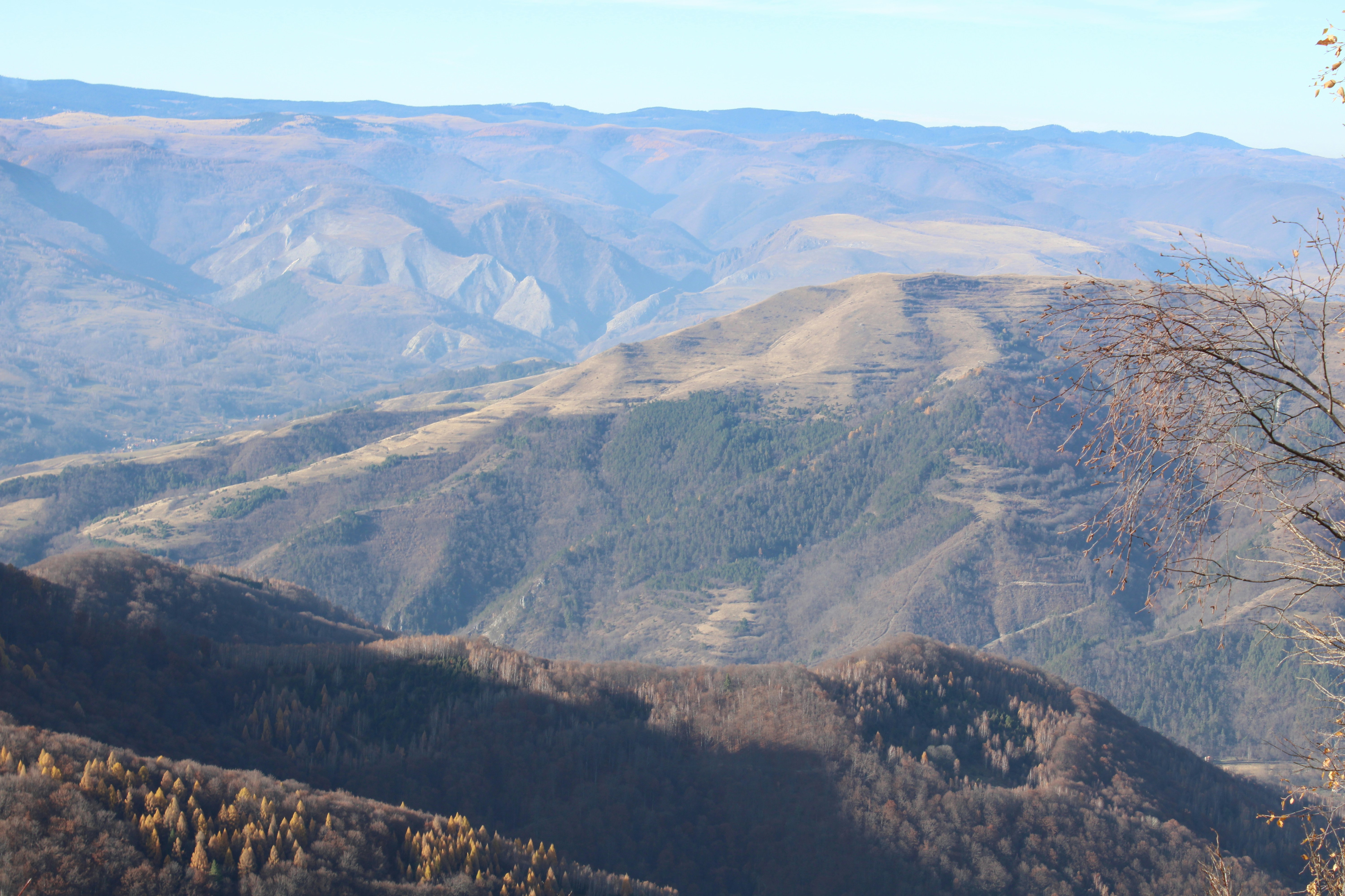 Photo by thorai9akira