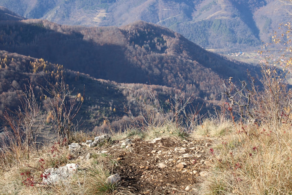 a view of a mountain range from a hill