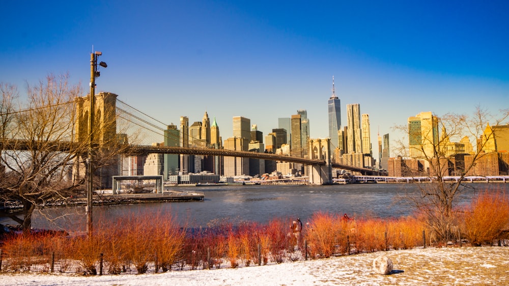 a view of a city with a bridge in the background