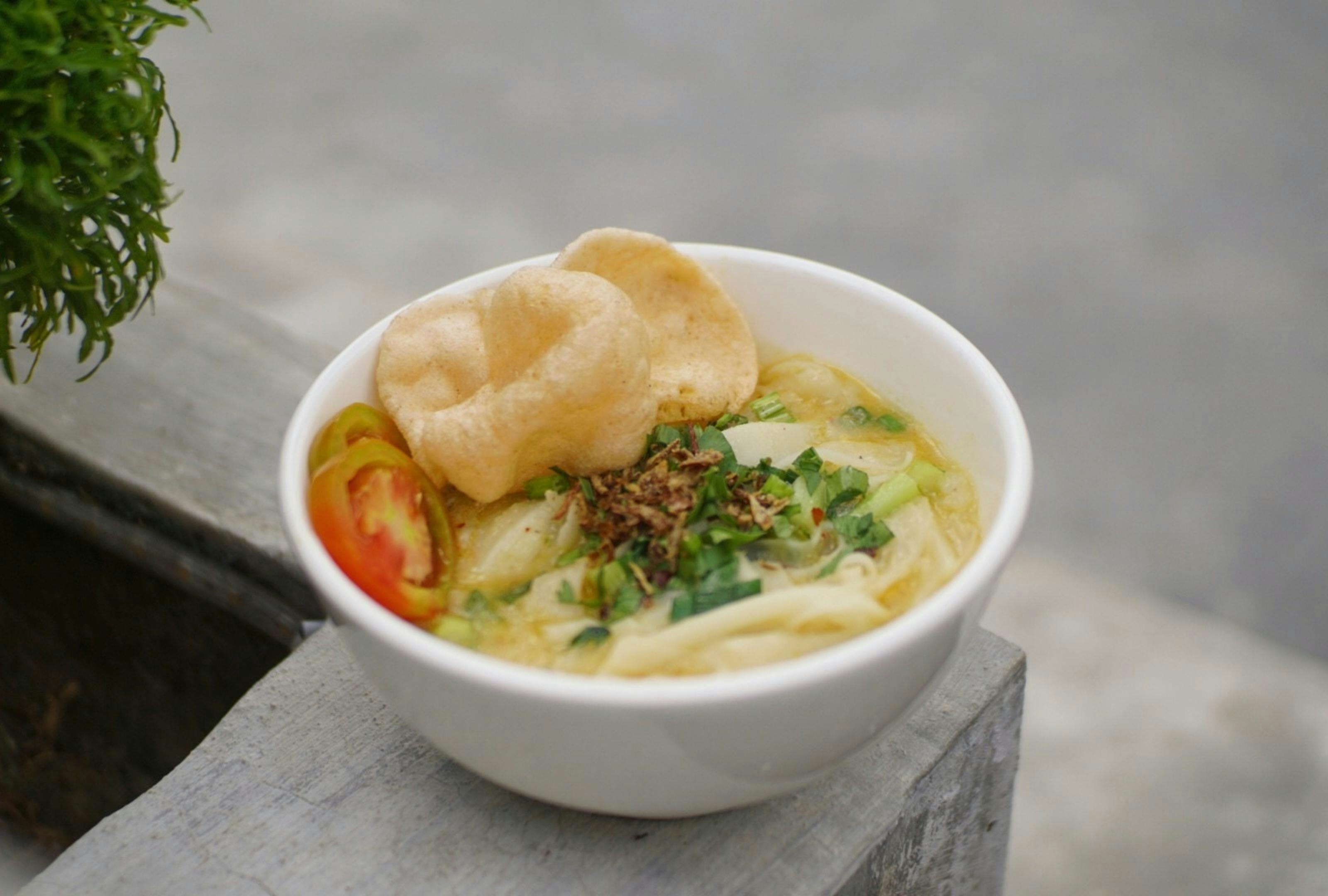 a bowl of food with a plant in the background