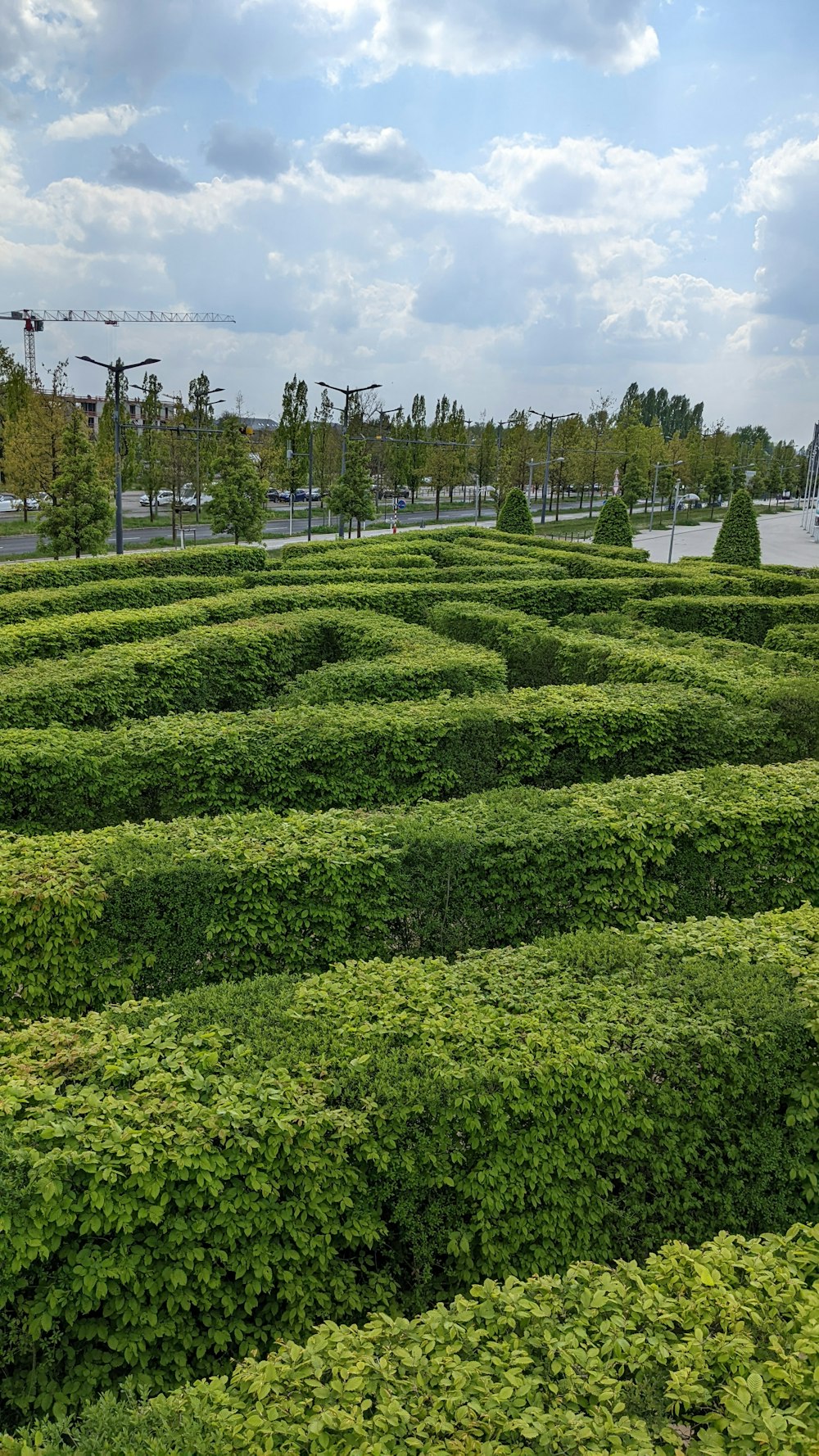 a large hedge maze in the middle of a park