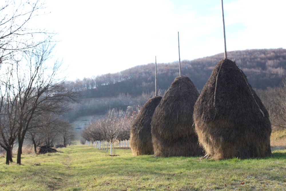 a couple of hay bales sitting on top of a lush green field