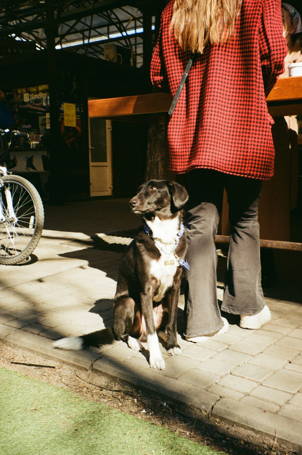 a woman standing next to a black and white dog