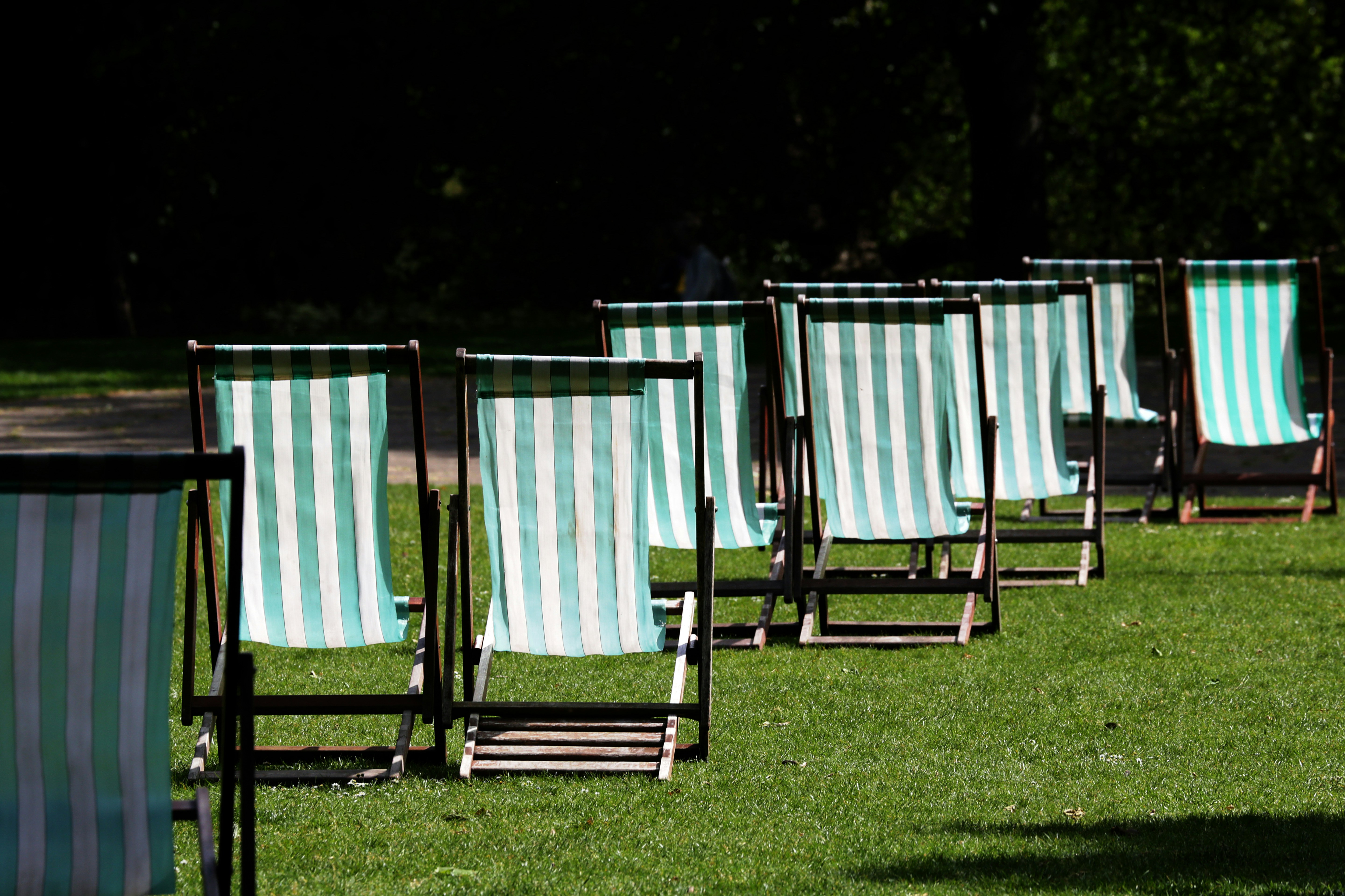 Eine Reihe von Liegestühlen auf einem üppigen grünen Feld