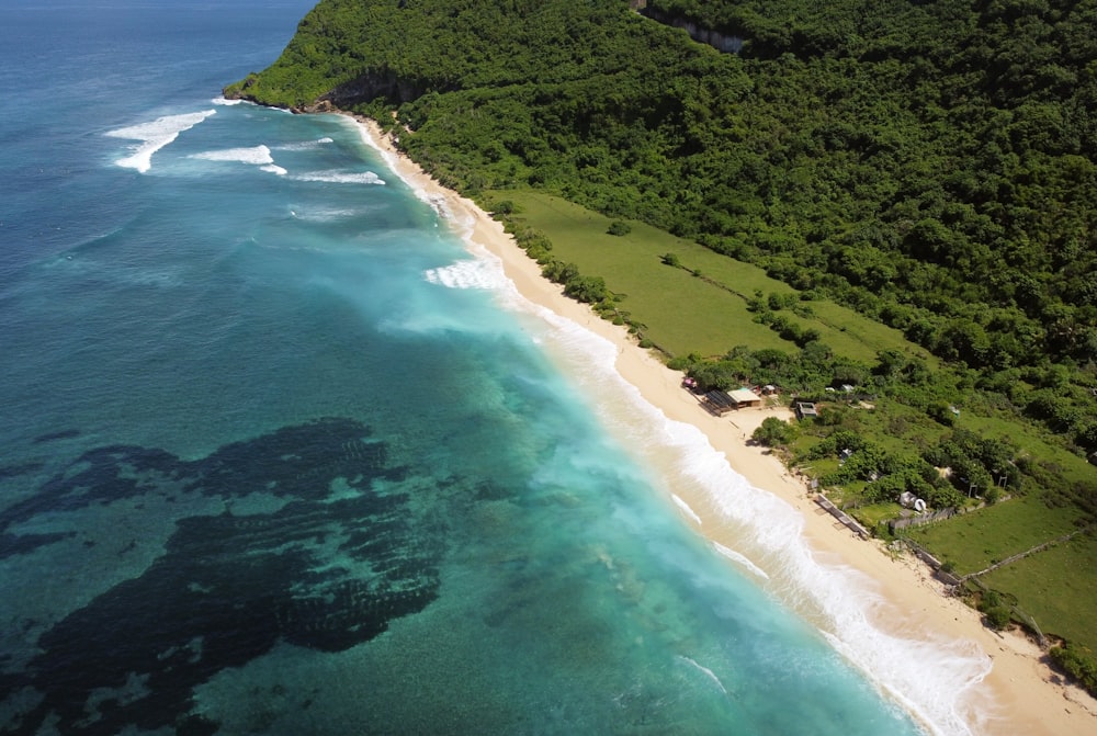 an aerial view of a beach and a forested area