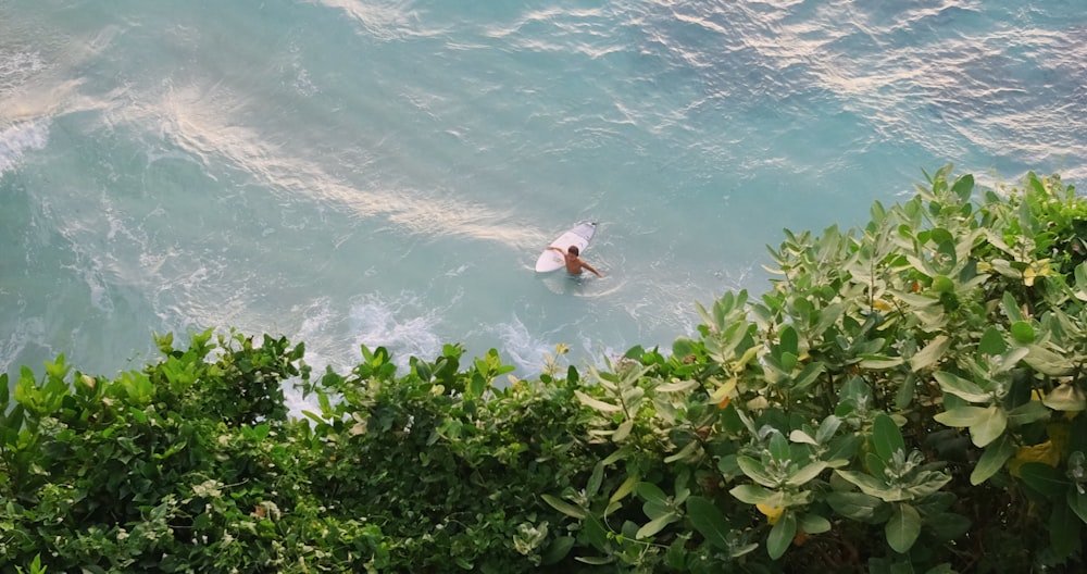 a person swimming in the ocean with a surfboard