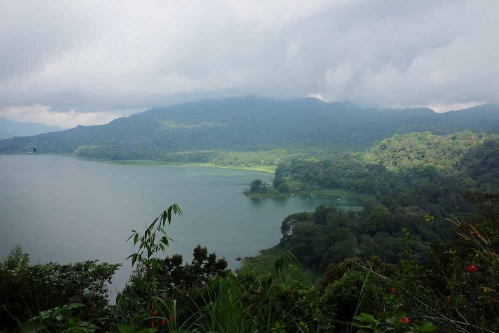 a large body of water surrounded by lush green trees