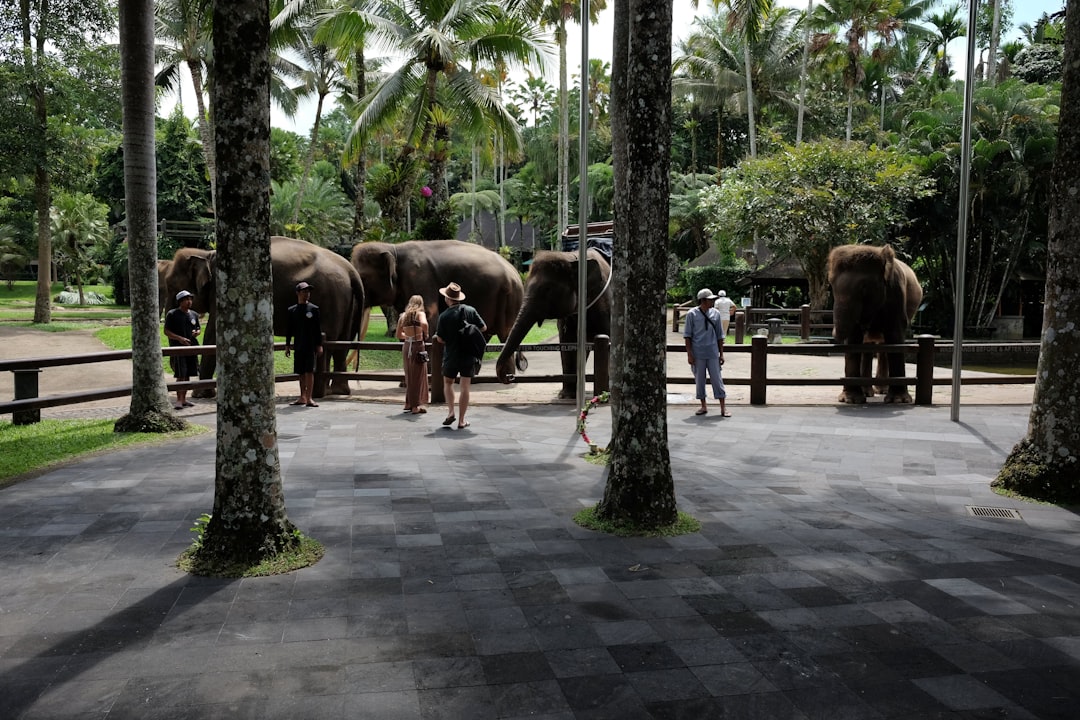 a group of elephants standing next to each other,