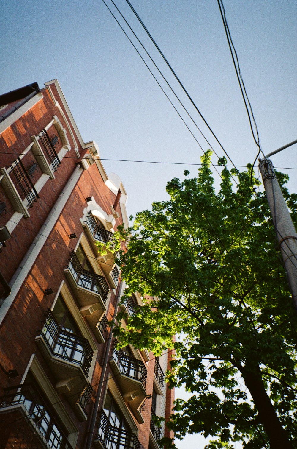 a tall red brick building sitting next to a green tree