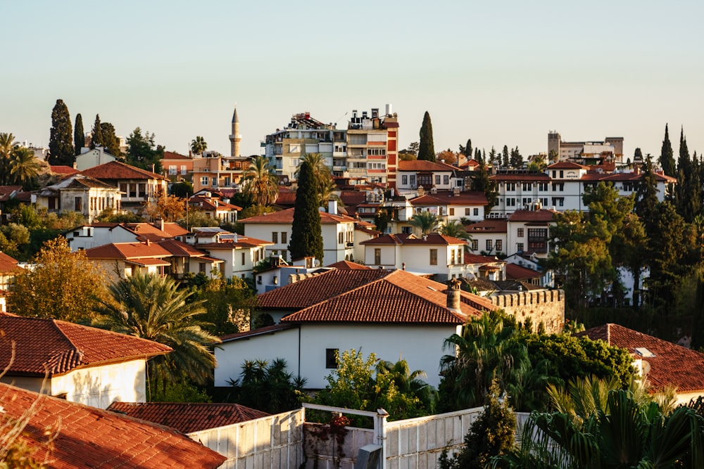 a view of a city with lots of houses