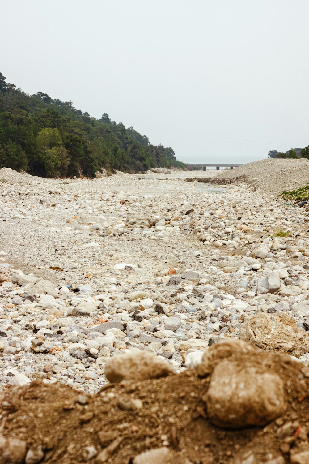 a rocky beach with rocks and trees in the background
